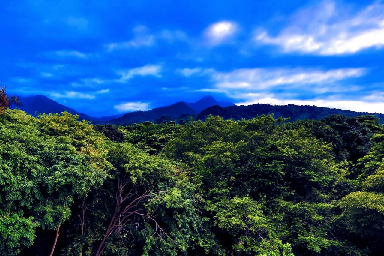 Villa Maria Tayrona, Jungle And Sea Experience Лос-Наранхос Екстер'єр фото