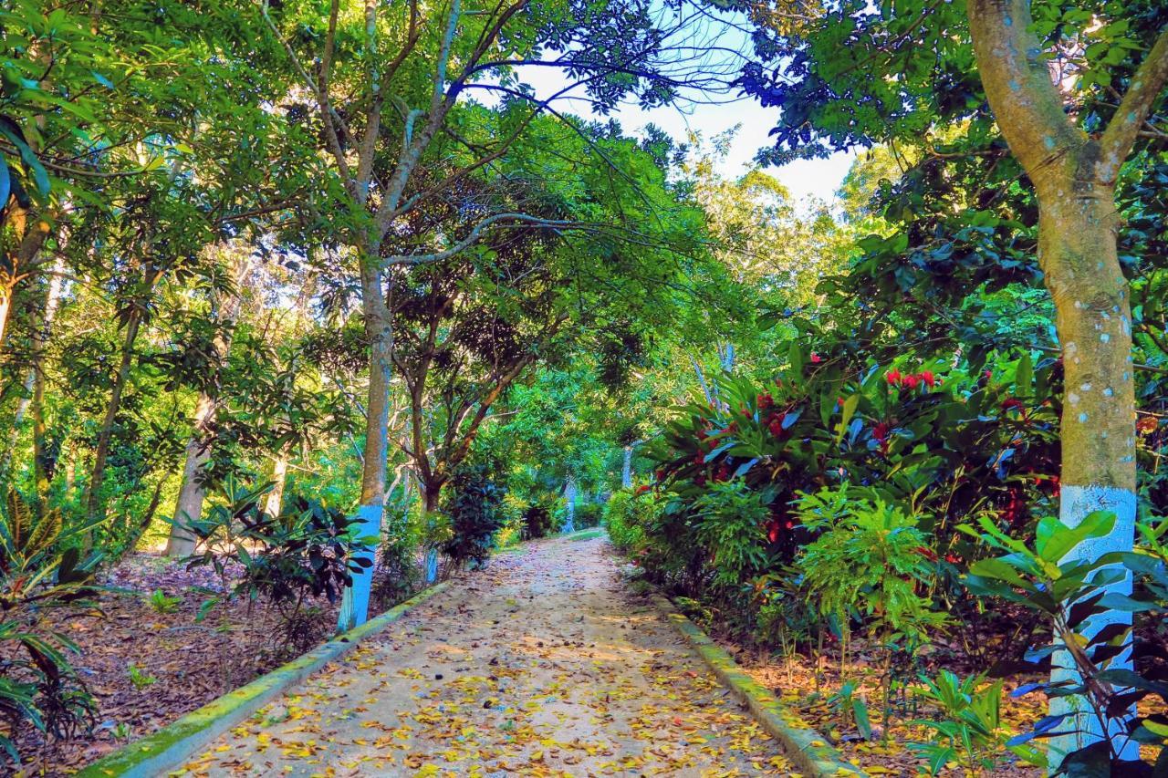 Villa Maria Tayrona, Jungle And Sea Experience Лос-Наранхос Екстер'єр фото
