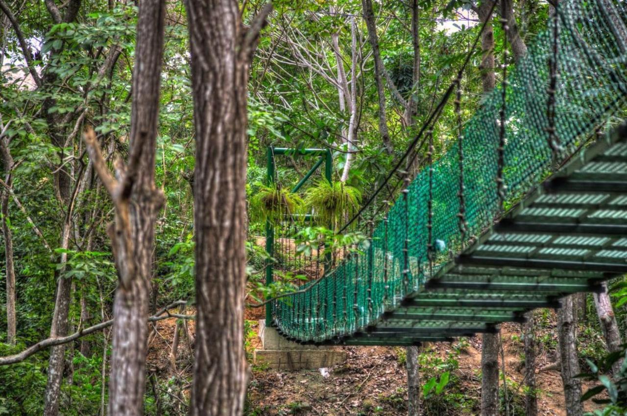 Villa Maria Tayrona, Jungle And Sea Experience Лос-Наранхос Екстер'єр фото