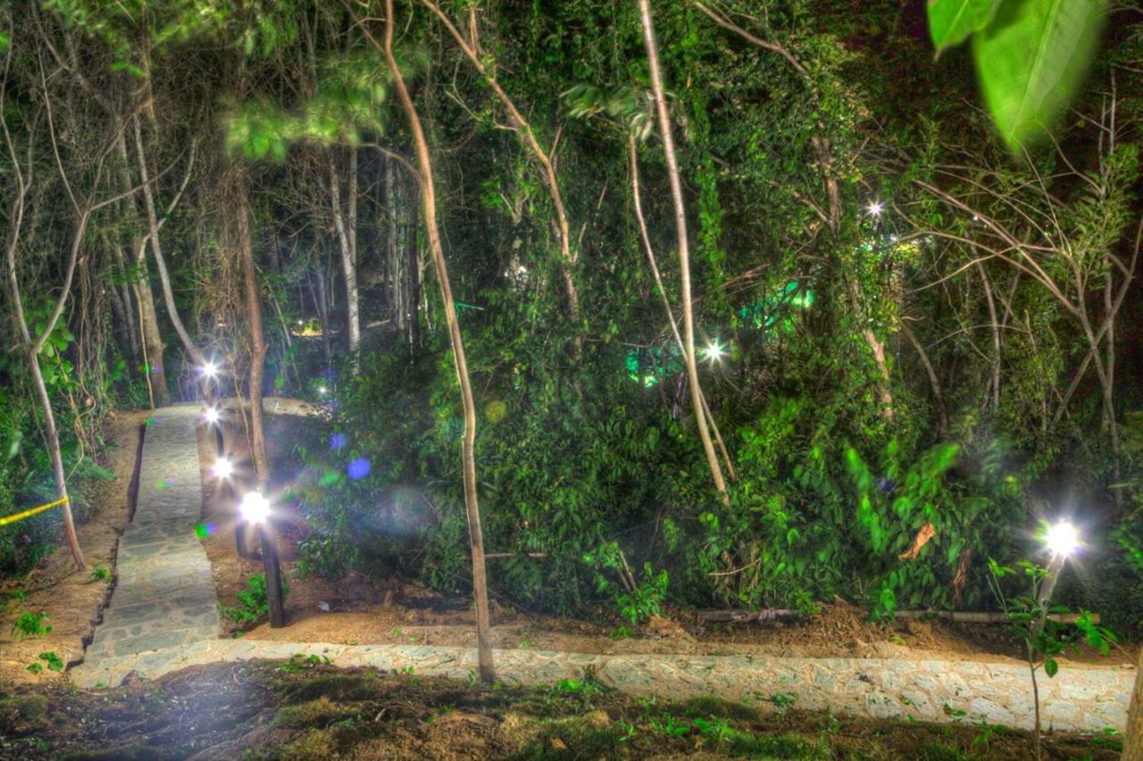 Villa Maria Tayrona, Jungle And Sea Experience Лос-Наранхос Екстер'єр фото