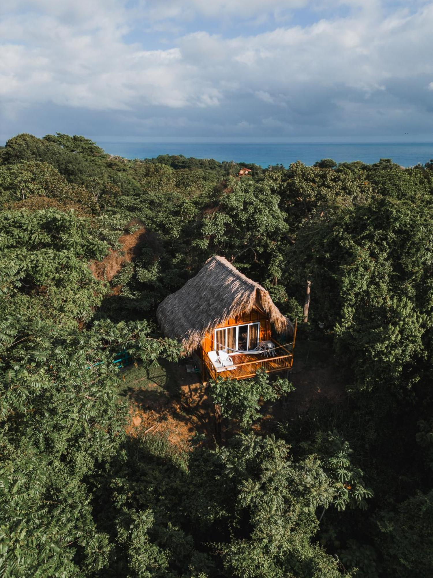Villa Maria Tayrona, Jungle And Sea Experience Лос-Наранхос Екстер'єр фото