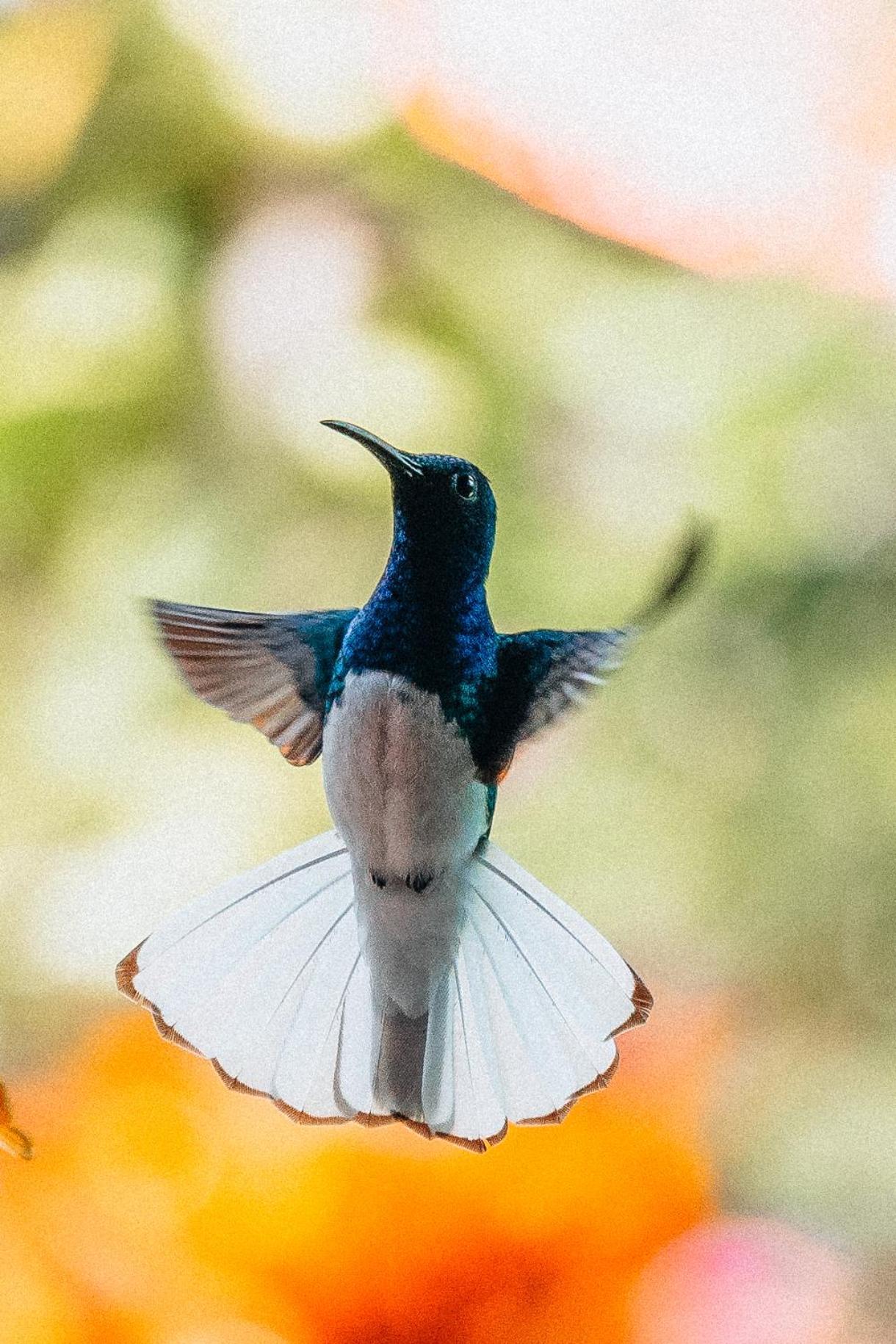 Villa Maria Tayrona, Jungle And Sea Experience Лос-Наранхос Екстер'єр фото