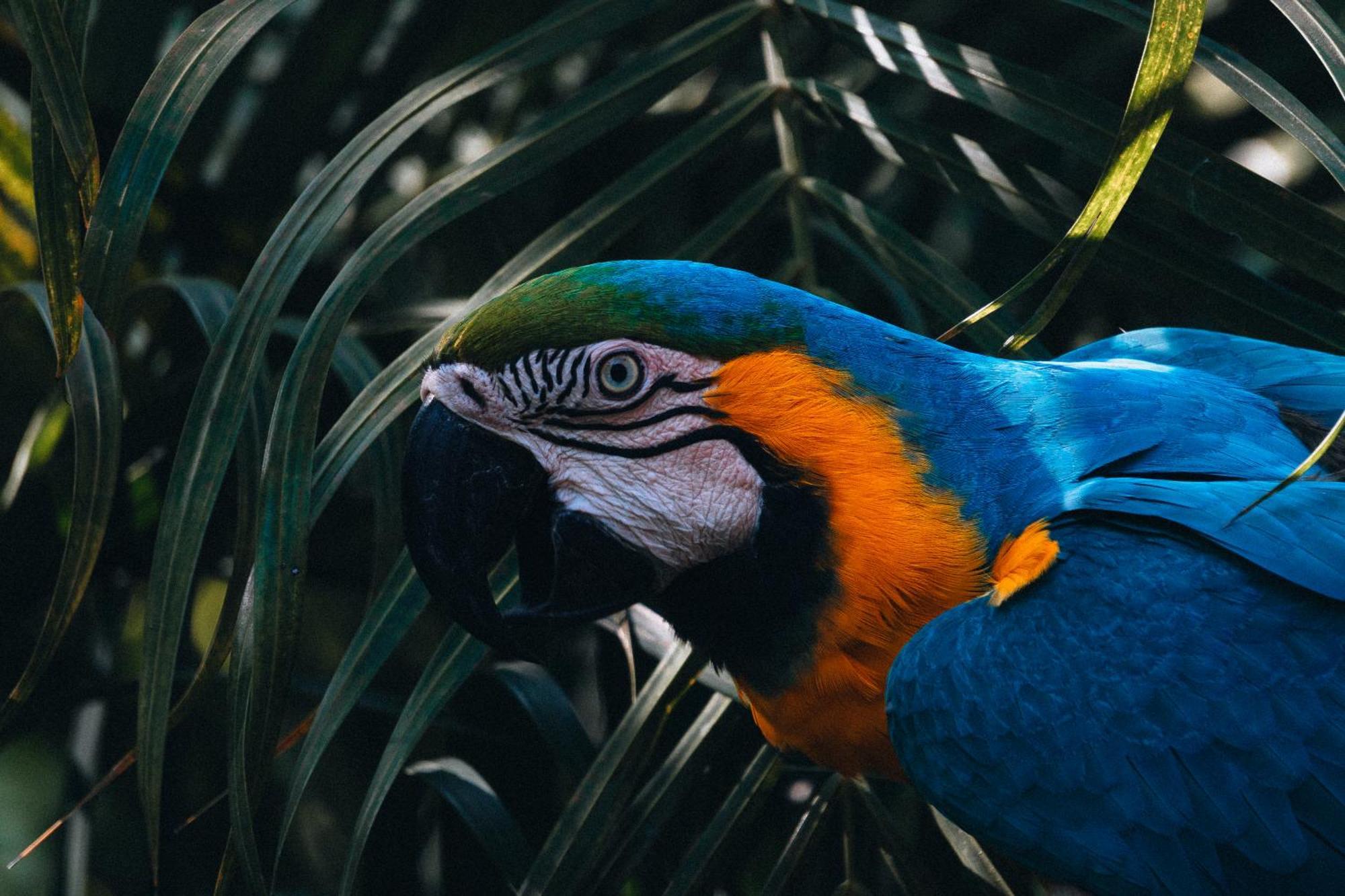Villa Maria Tayrona, Jungle And Sea Experience Лос-Наранхос Екстер'єр фото