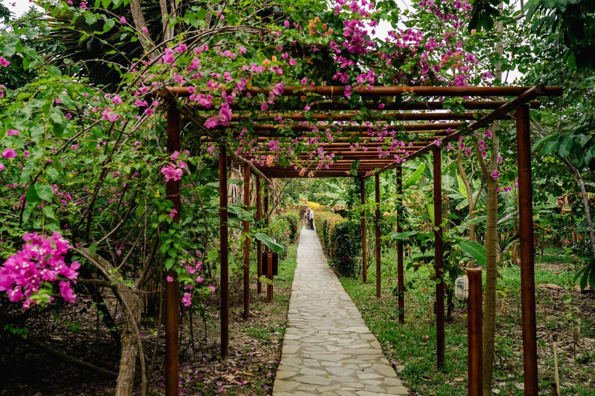Villa Maria Tayrona, Jungle And Sea Experience Лос-Наранхос Екстер'єр фото